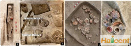 浙江义乌桥头遗址中发现9000年前南方人喝啤酒证据