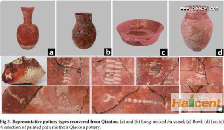 浙江义乌桥头遗址中发现9000年前南方人喝啤酒证据